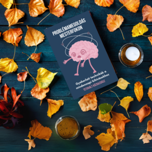 Problémamegoldás mesterfokon - Gyakorlati technikák a mindennapi kihívásokhoz eBook